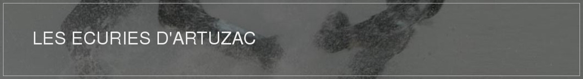 LES ECURIES D'ARTUZAC